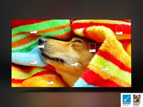 Samsung S90C pantone